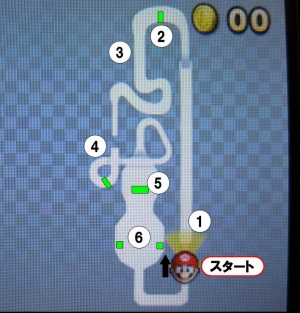 DS ワルイージピンボール